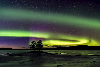 The amazing northern lights