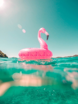 Anel de natação Flamingo