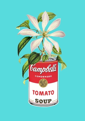 Kwiatowe Campbells