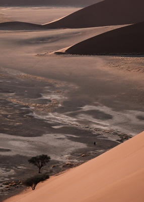 Dunes in Sossusvlei in Namibia