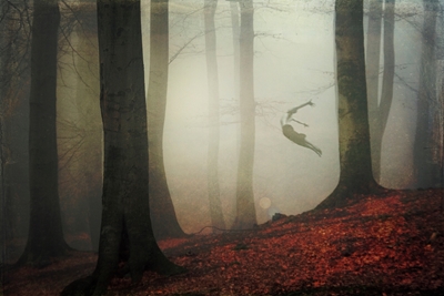 Free Spirit - Podzimní lesní mlha