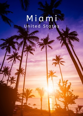 Miami Stany Zjednoczone Palmen
