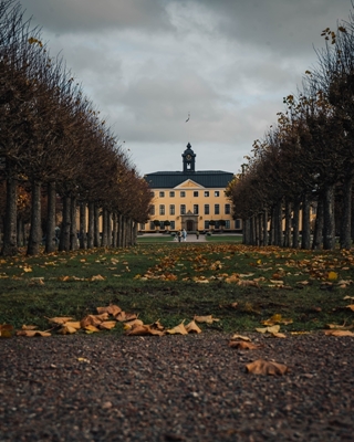 Ulriksdalin palatsi 