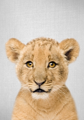 Baby løve