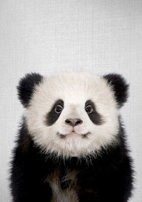 Panda-karhun vauva