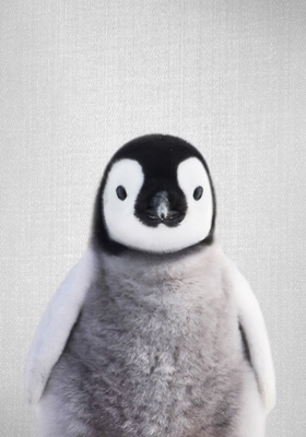 Mládě tučňáka