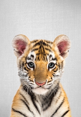 Bebé tigre