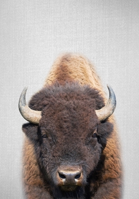 Buffel 
