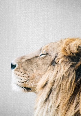 Løve portræt
