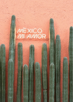 Mexiko min kärlek