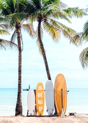 Escolha sua prancha de surf