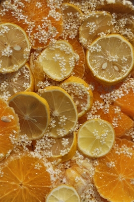 vlierbessensap en citrusvruchten