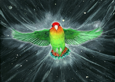 Flygande papegoja akrylskal