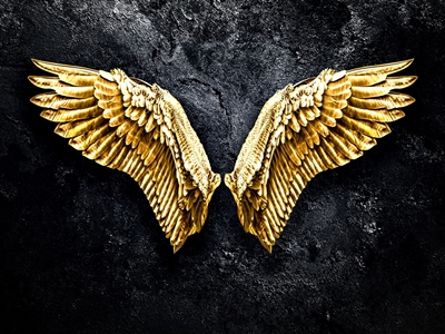 Goldene Flügel