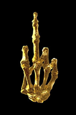 Gouden middelvinger
