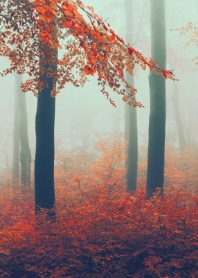 Surrealistický listopadový les