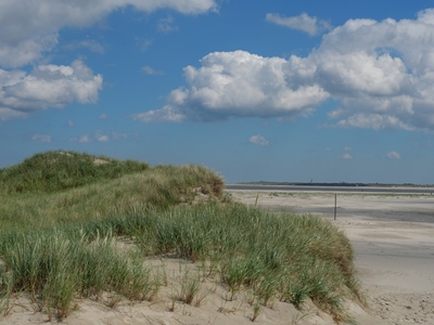 dune and beach of Baltrum