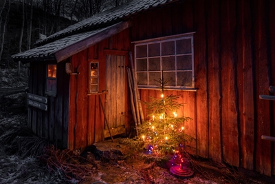 Christmas in the barn 