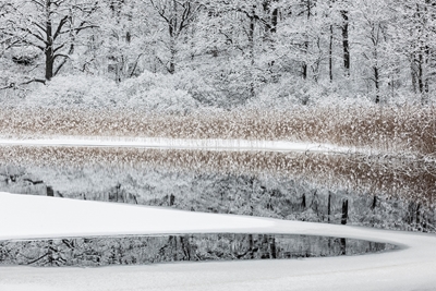 Reflexión invernal en el río Mölndal