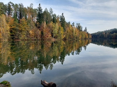 Lake Adelberg 