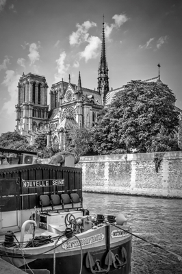 Katedrála Notre-Dame v Paříži 
