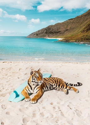 Spiaggia di surf di Tiger
