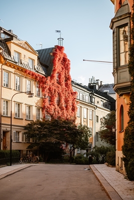 Danderydsgatan w mieście Sztokholm