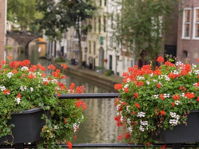flowers at a canal in utrecht