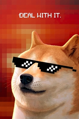 Deal With It - Doge Meme