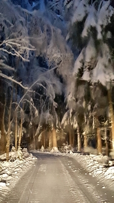 Estrada de inverno no país das maravilhas do inverno