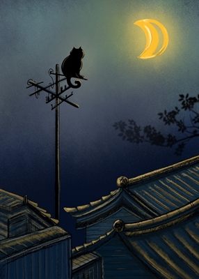 Notte al chiaro di luna con i gatti