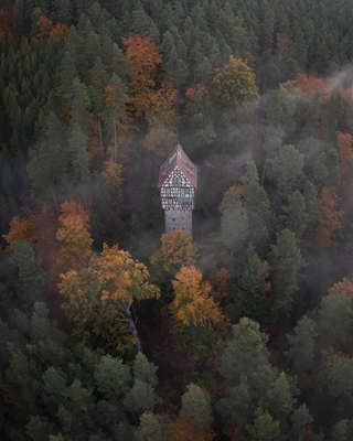 Hus i skoven