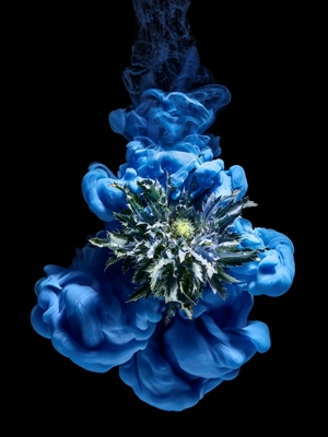 Blomma under vatten – blå