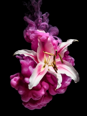 Blume unter Wasser – Pink