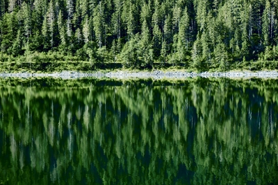 Reflexión en el lago Gosau