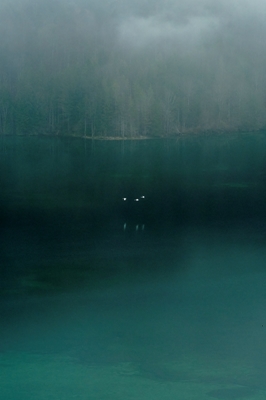 Le Lac des cygnes
