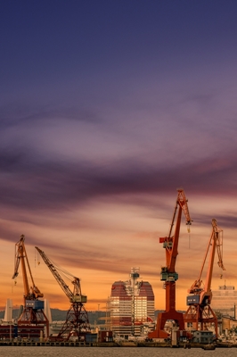 The cranes in the Port of Goth