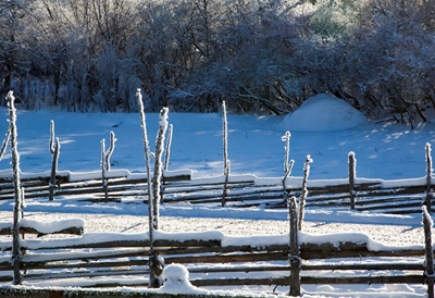 Snow and white frost on fence
