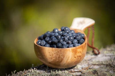 A cup of blueberries