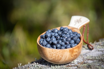 A cup of blueberries II