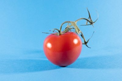 En moden tomat