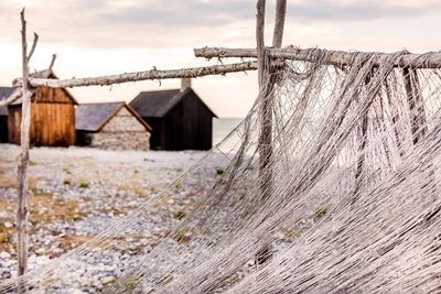 Sieci rybackie Gotlandia