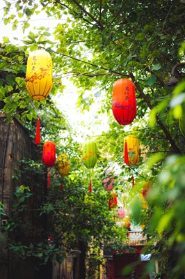 Lanternas asiáticas no jardim