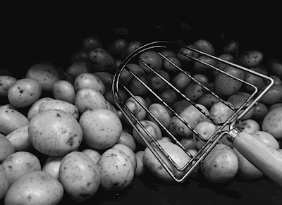 Potatoe aardappel