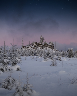 Märchenhafte Winterlandschaft 