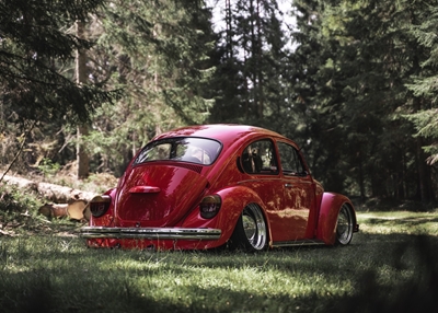 VW Beatle