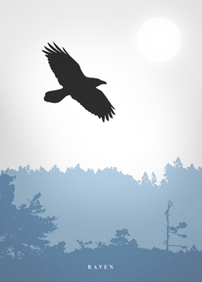 Cuervo sobre ciénaga azul