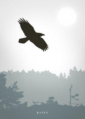 Raven over green wetland
