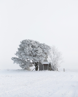 Casa de campo fria e solitária