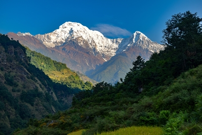 Annapurna SDD
